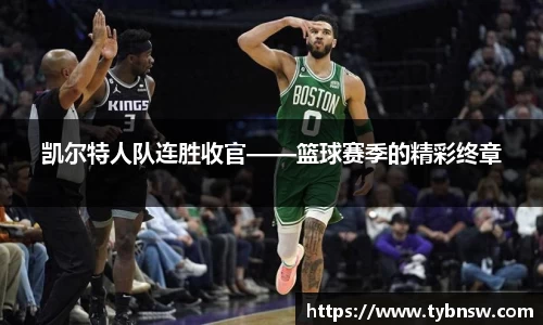 mk体育官网