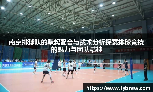 南京排球队的默契配合与战术分析探索排球竞技的魅力与团队精神